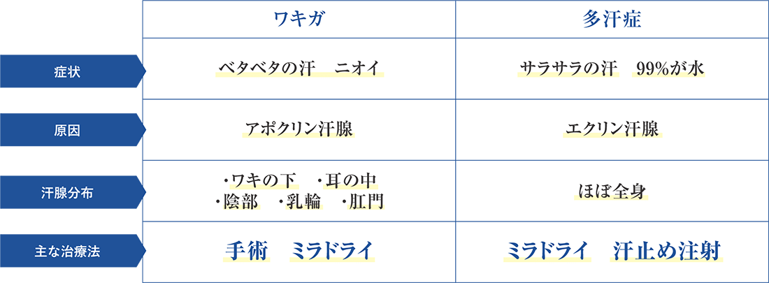 ワキガ　症状：ベタベタの汗・ニオイ　原因：アポクリン汗腺　感染分布：ワキの下・耳の中・陰部・乳輪・肛門　主な治療法：手術・ミラドライ　多汗症　症状：サラサラの汗・99%が水　原因：エクリン汗腺　汗腺分布：ほぼ全身　主な手術方法：ミラドライ・汗止め注射